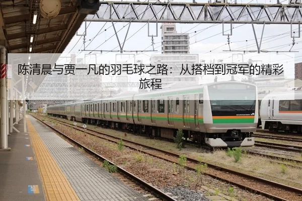 陈清晨与贾一凡的羽毛球之路：从搭档到冠军的精彩旅程